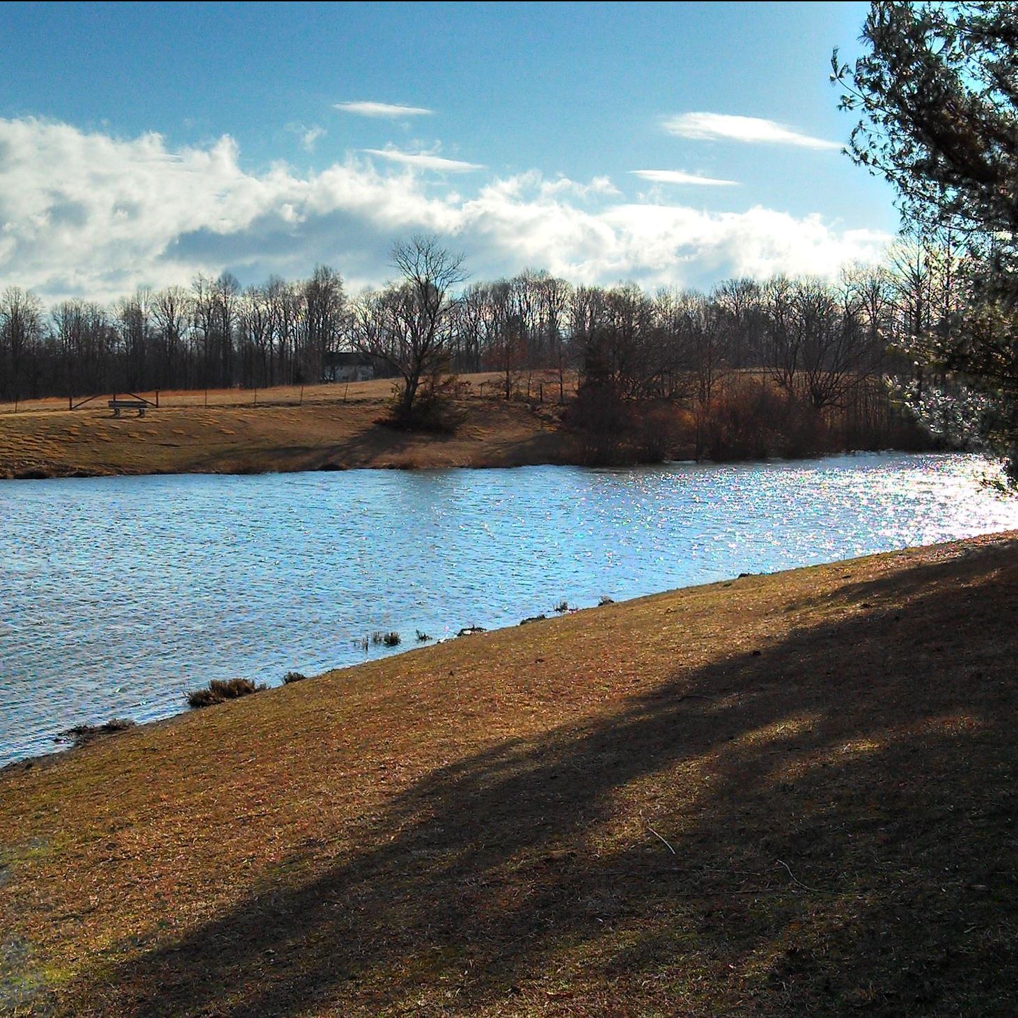 pond surrounded by grassy fields and trees