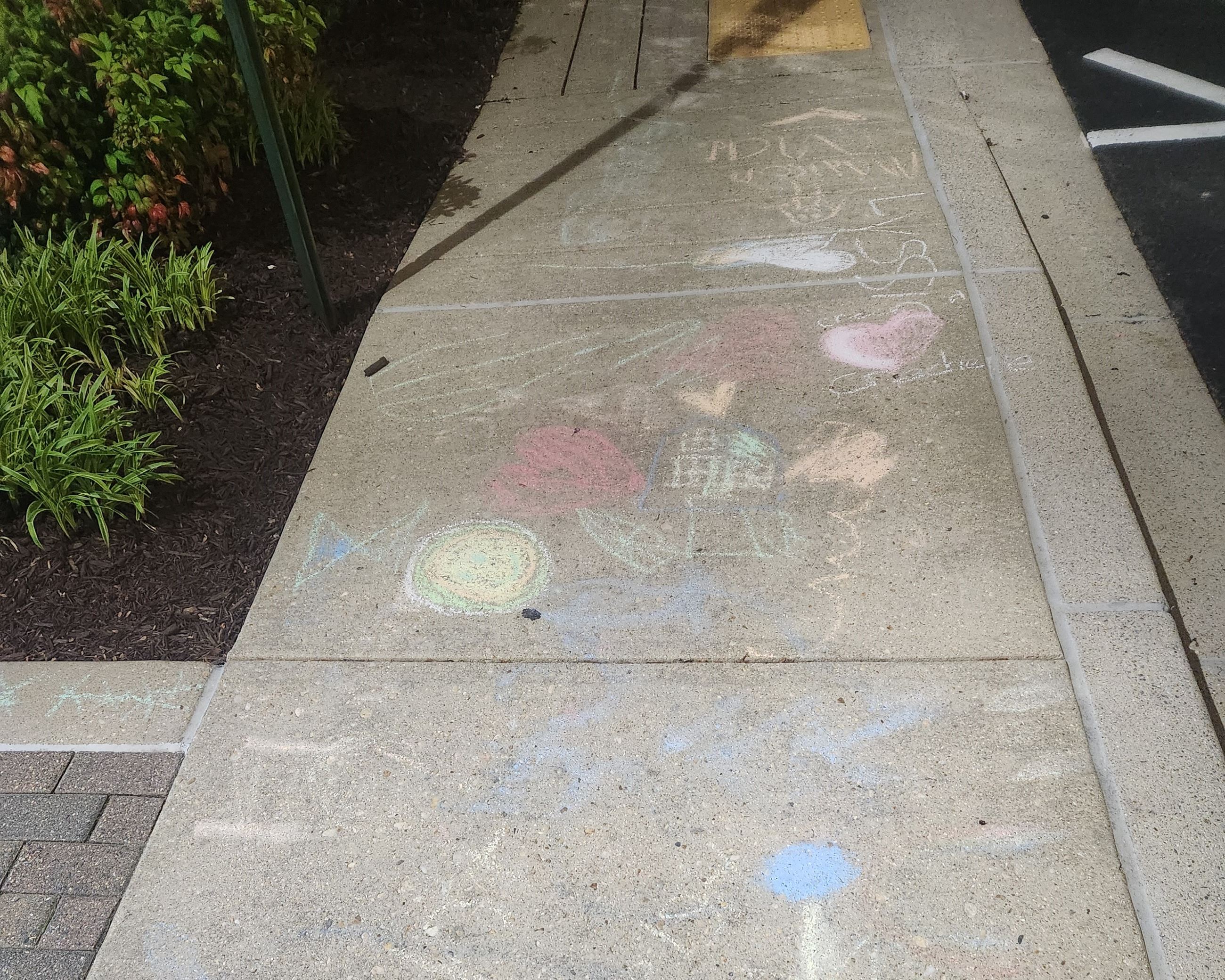 Multicolored indistinct sidewalk chalk art in front of bushes.