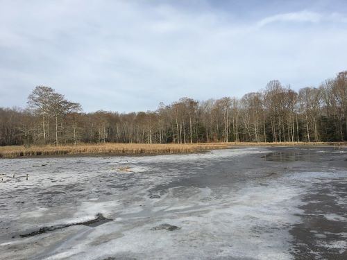 Scenic Gatewood Preserve in winter
