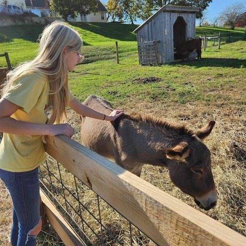 girl with a donkey