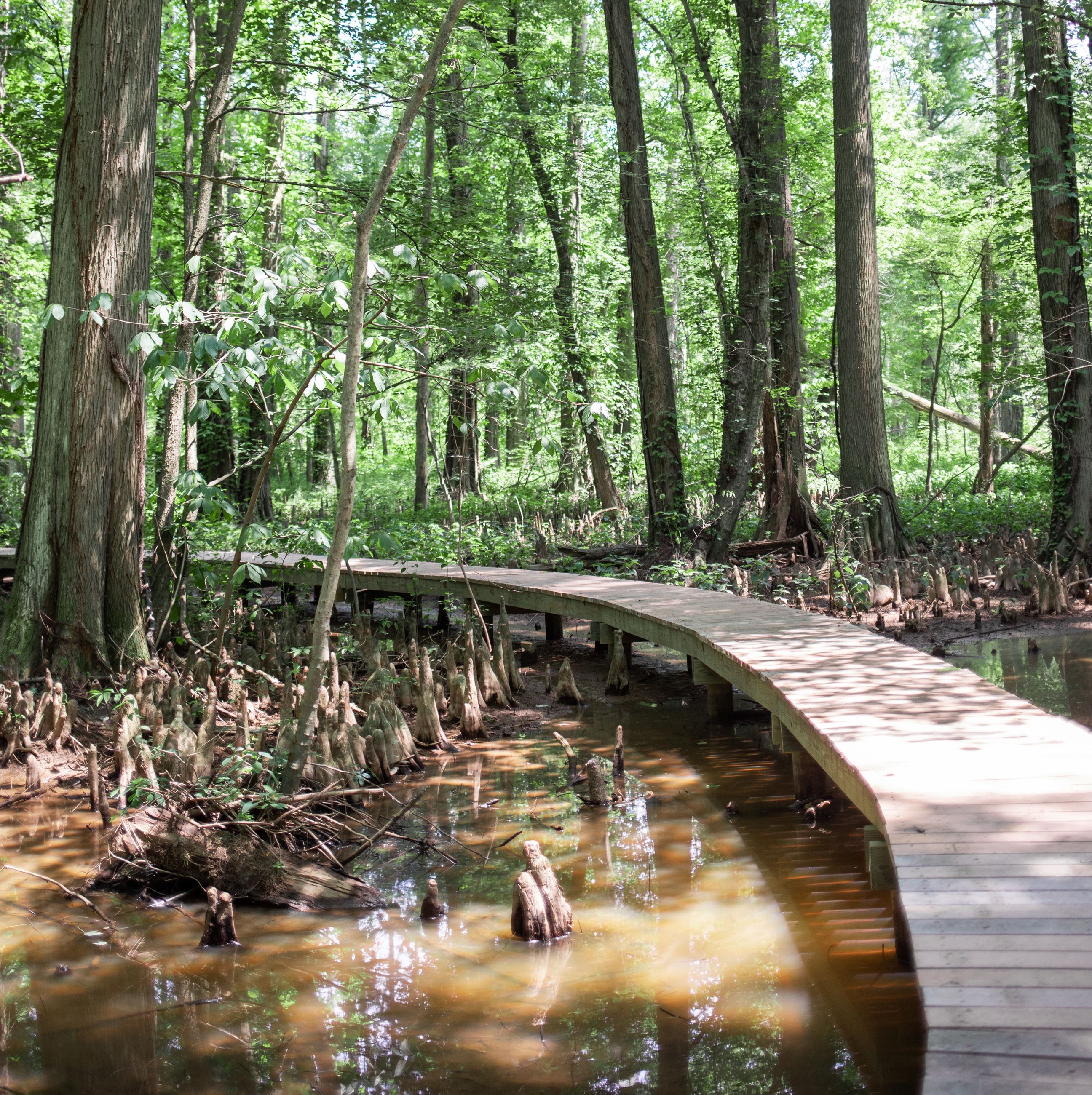 Battle Creek Boardwalk