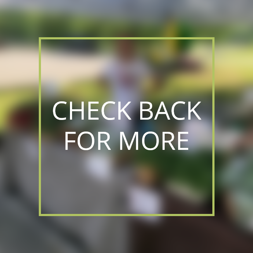 blurred photo with overlay text that says check back for more